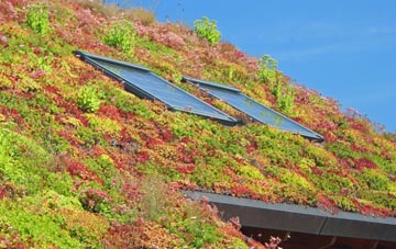 Earlston living roof systems