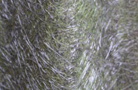 Earlston fibreglass roof work